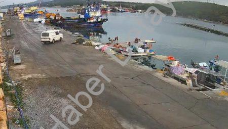 Didim’de Korku Dolu Anlar: Otomobil Denize Uçtu, Sürücü Son Anda Kurtuldu