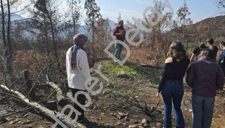 Menteşeli Gençlerden Çevre Dersi: Köyceğiz ve Akyaka’da Doğa Seferberliği