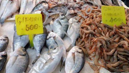 Foça Balık Hali’nde Kış Bereketi: Sardalya ve Uskumru Tezgahlarda Şenlik Yarattı