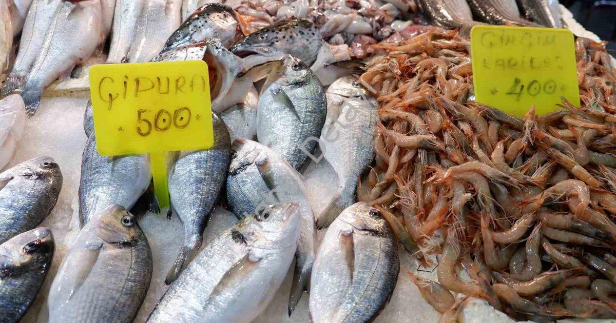 "Foça Balık Hali'nde Kış Bereketi: Sardalya ve Uskumru Tezgahlarda Şenlik Yarattı" başlıklı haber iç