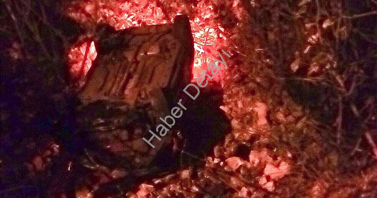 "Muğla Menteşe'de Korkutan Kaza: Araç Dereye Uçtu, Sürücü Yaralı" başlıklı haber için fotorealistik,