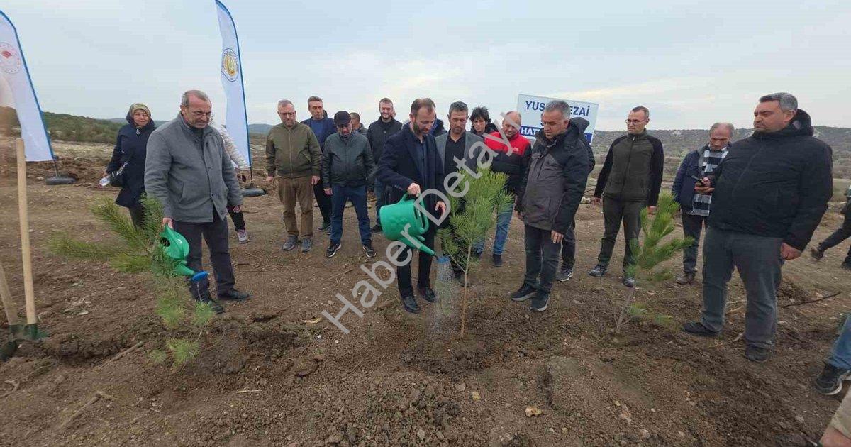 "Kütahya'da Vefa Örneği: Yusuf Sezai Sevil Adına Hatıra Ormanı" başlıklı haber için fotorealistik, p