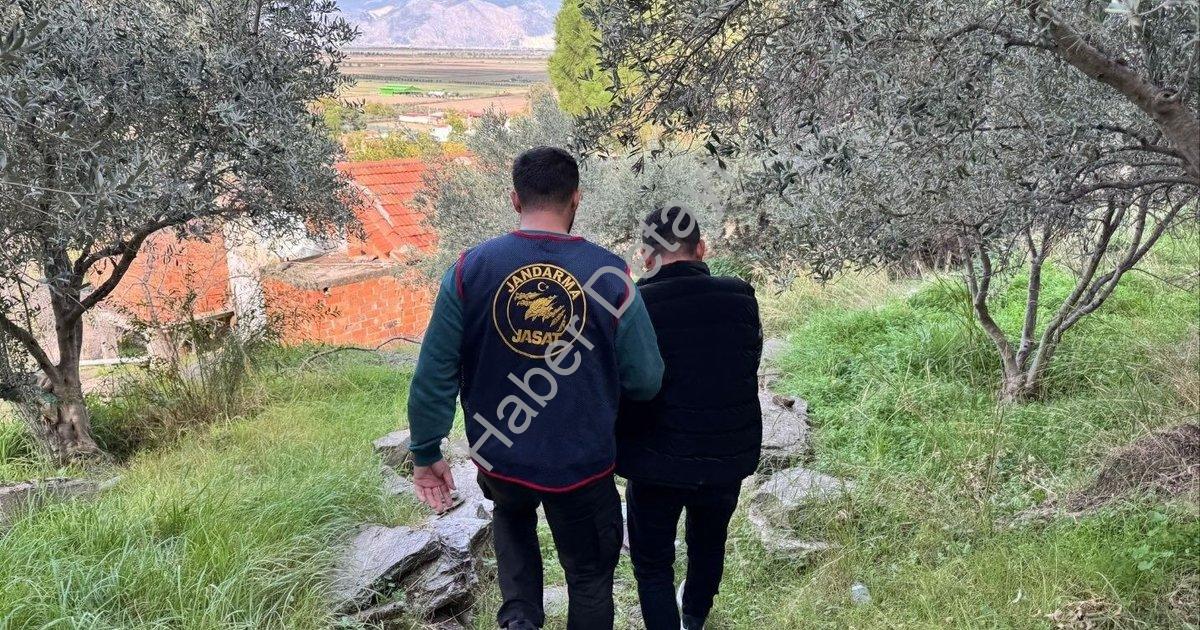 "Söke'de Film Gibi Operasyon: Firari Şüpheli Ormanda Kıskıvrak Yakalandı" başlıklı haber için fotore