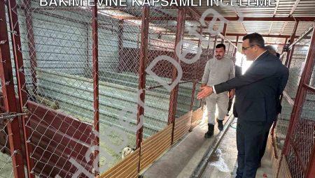 Sarıgöl Kaymakamı Halil Dalak’tan Hayvan Bakım Evine Kapsamlı İnceleme
