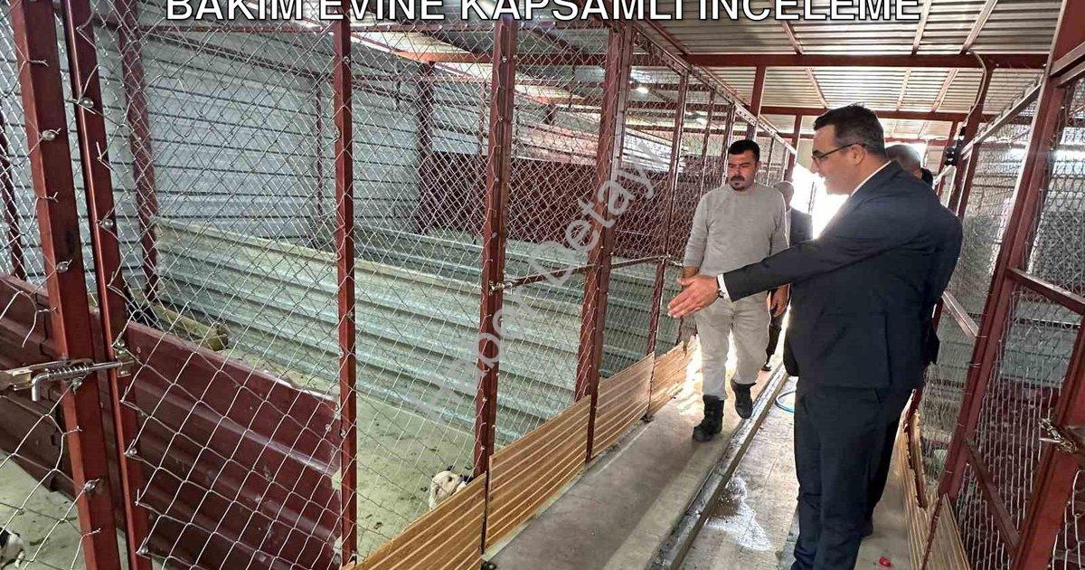 "Sarıgöl Kaymakamı Halil Dalak'tan Hayvan Bakım Evine Kapsamlı İnceleme" başlıklı haber için fotorea