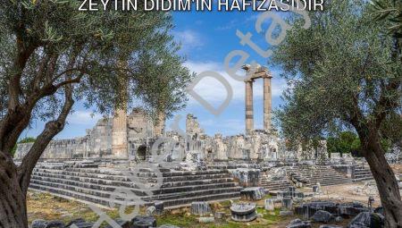 Didim Belediye Başkanı Hatice Gençay: Zeytin Didim’in Hafızasıdır