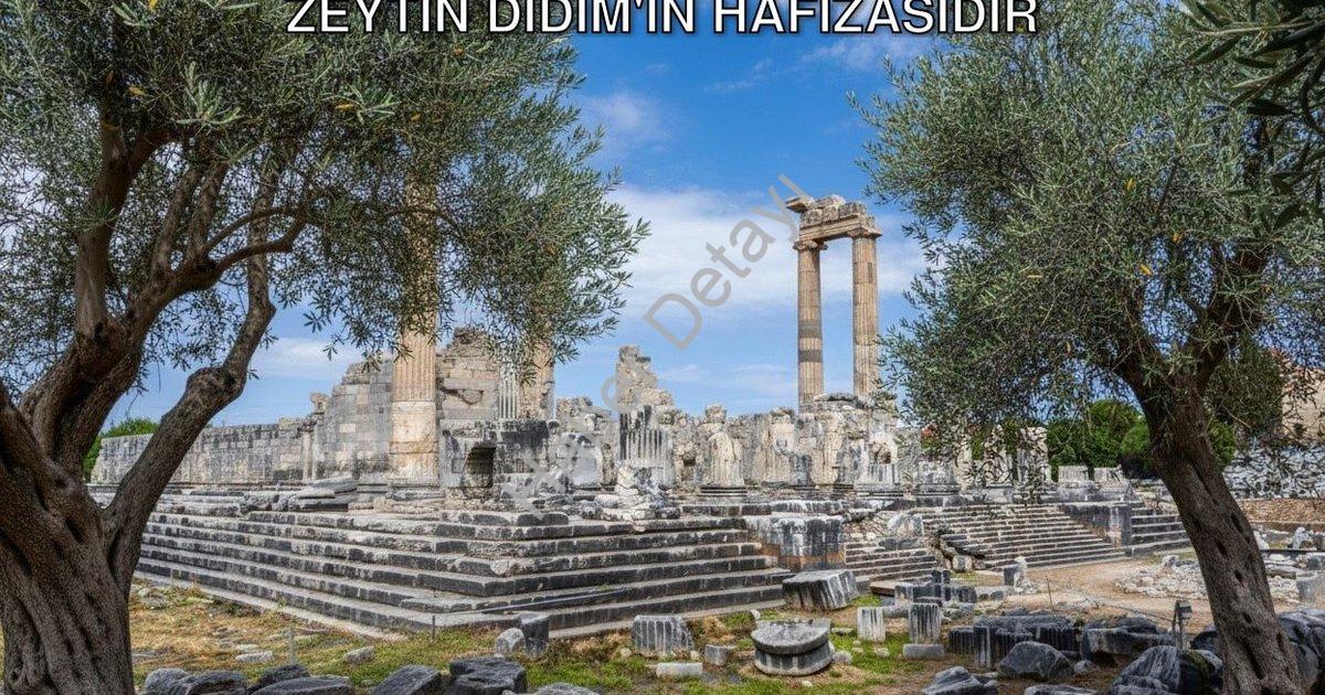 "Didim Belediye Başkanı Hatice Gençay: Zeytin Didim'in Hafızasıdır" başlıklı haber için fotorealisti