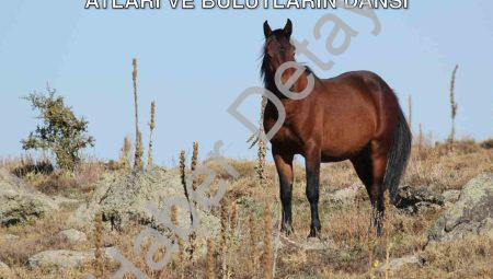 Kumalar Dağı’nda Görsel Şölen: Yılkı Atları ve Bulutların Dansı