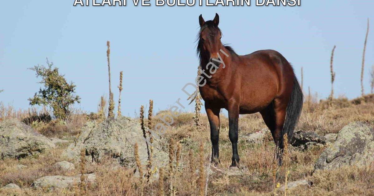 "Kumalar Dağı'nda Görsel Şölen: Yılkı Atları ve Bulutların Dansı" başlıklı haber için fotorealistik,