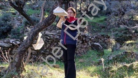 Söke’de Üreticiye Kritik Uyarı: Zararlı Popülasyonunda Artış Tespit Edildi