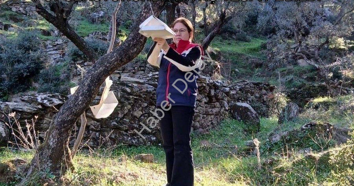 "Söke'de Üreticiye Kritik Uyarı: Zararlı Popülasyonunda Artış Tespit Edildi" başlıklı haber için fot