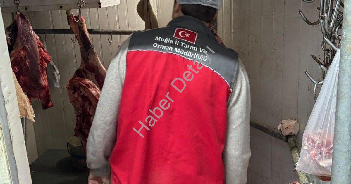 "Menteşe'de Gıda Güvenliği Seferberliği: Kasaplar Mercek Altında" başlıklı haber için fotorealistik,
