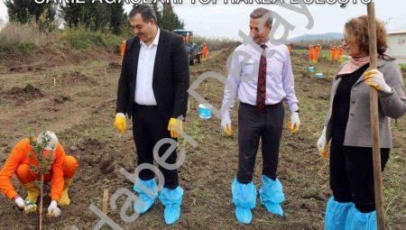 Dalaman Açık Cezaevi’nde Üretim Hamlesi: Sakız Ağaçları Toprakla Buluştu