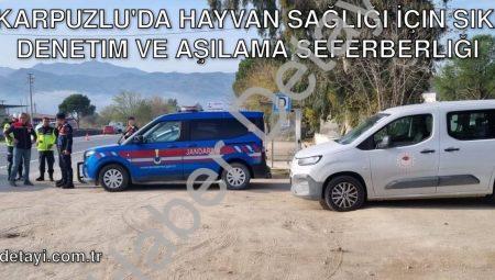 Karpuzlu’da Hayvan Sağlığı İçin Sıkı Denetim ve Aşılama Seferberliği