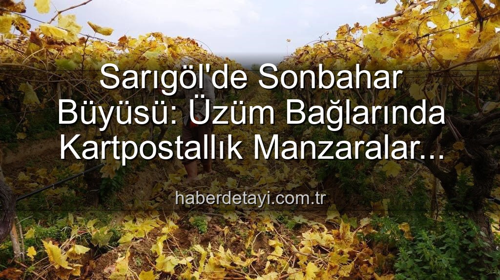 Sarıgöl üzüm bağları - Sarıgöl'de Sonbahar Büyüsü: Üzüm Bağlarında Kartpostallık Manzaralar Eşliğinde Budama Zamanı