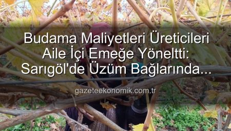 Budama Maliyetleri Cep Yakıyor: Manisalı Üzüm Üreticileri Ailece Bağlara İndi
