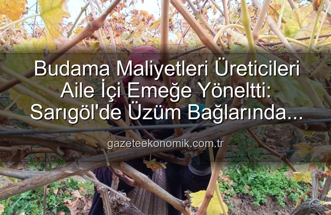 üzüm budama maliyeti - Budama Maliyetleri Cep Yakıyor: Manisalı Üzüm Üreticileri Ailece Bağlara İndi