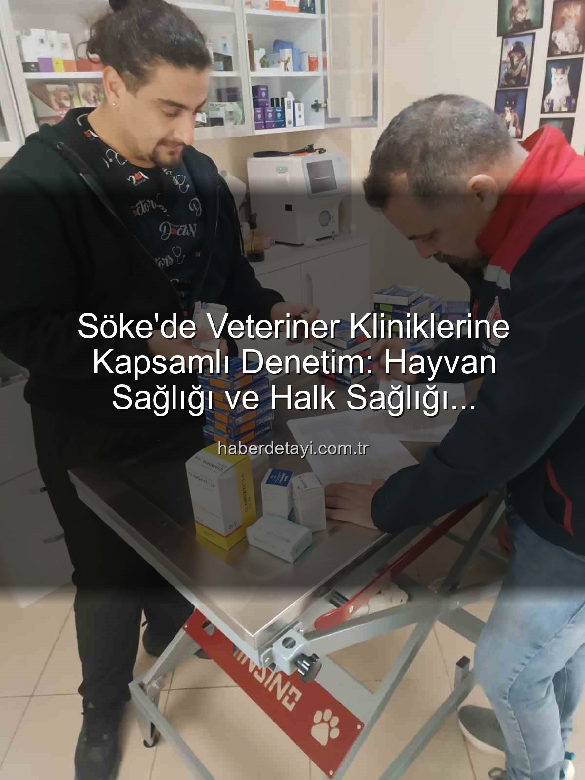 Söke veteriner klinikleri - Söke'de Veteriner Kliniklerine Kapsamlı Denetim: Hayvan Sağlığı ve Halk Sağlığı Önceliklendirildi