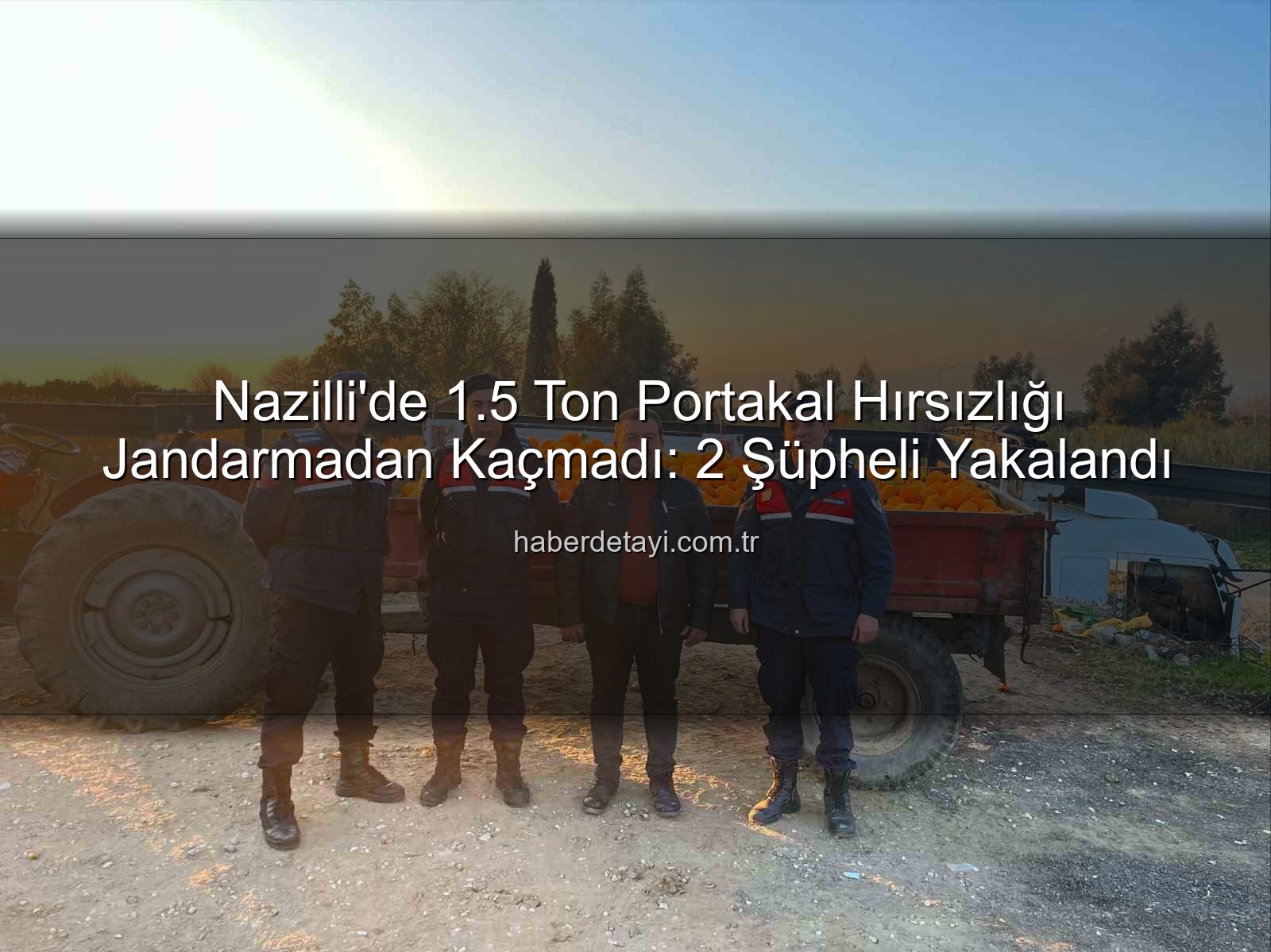 portakal hırsızlığı - Nazilli'de 1.5 Ton Portakal Hırsızlığı Jandarmadan Kaçmadı: 2 Şüpheli Yakalandı
