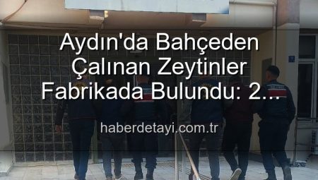 Aydın’da Bahçeden Çalınan Zeytinler Fabrikada Bulundu: 2 Şüpheli Yakalandı