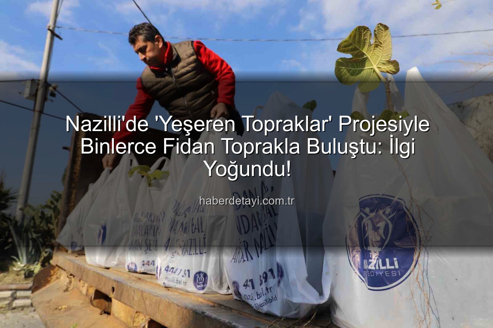 ağaç fidanı dağıtımı - Nazilli'de 'Yeşeren Topraklar' Projesiyle Binlerce Fidan Toprakla Buluştu: İlgi Yoğundu!