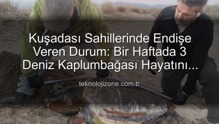 Kuşadası Sahillerinde Endişe Veren Manzara: Bir Haftada 3 Deniz Kaplumbağası Ölü Bulundu