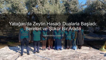 Yatağan’da Zeytin Hasadı Dualarla Başladı: Bereket ve Şükür Bir Arada