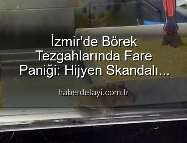 İzmir börekçi fare - İzmir'de Börek Tezgahlarında Fare Paniği: Hijyen Skandalı Mühürlendi!
