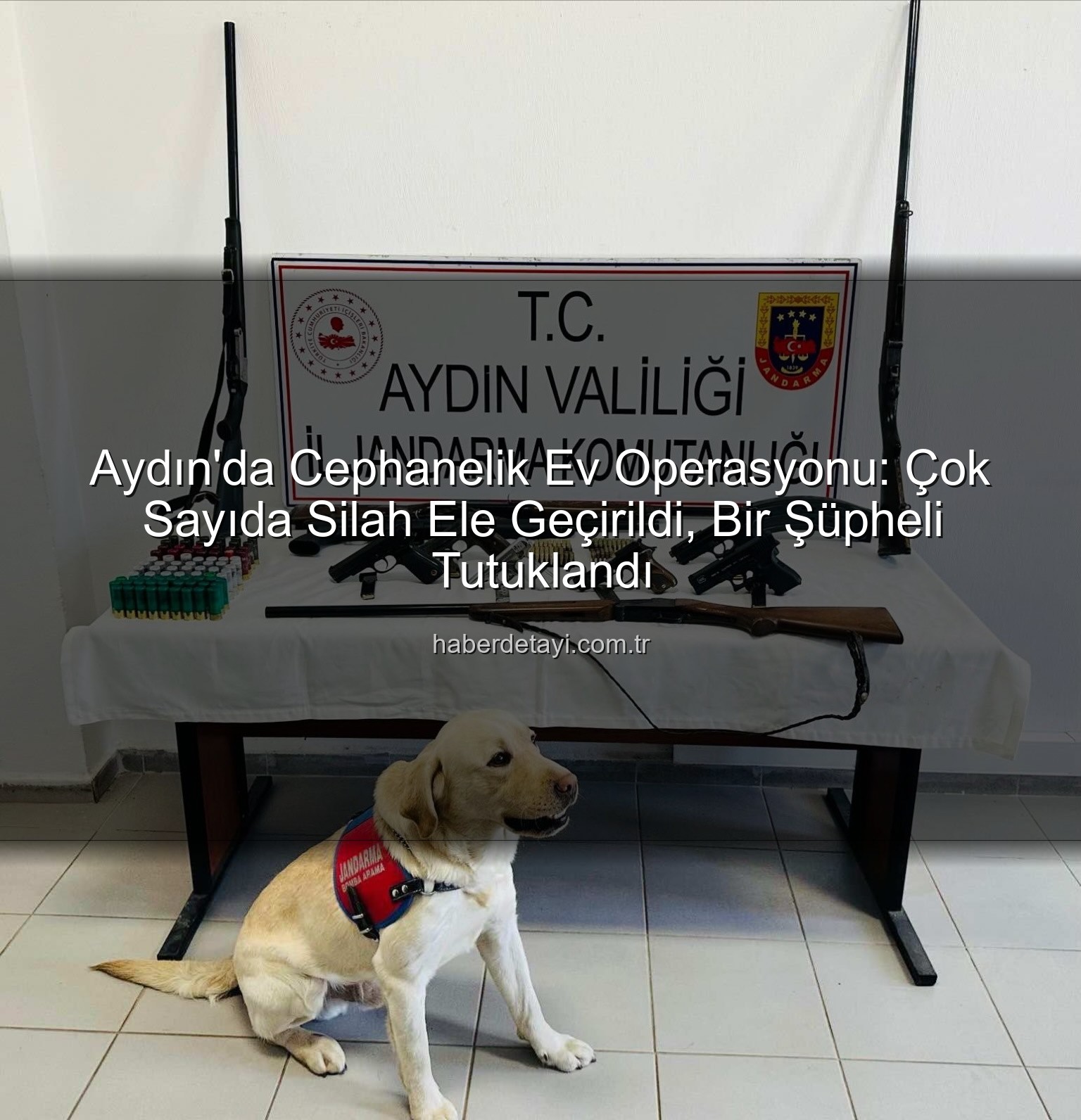 Aydın silah operasyonu - Aydın'da Cephanelik Ev Operasyonu: Çok Sayıda Silah Ele Geçirildi, Bir Şüpheli Tutuklandı