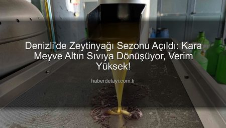Denizli’de Zeytinyağı Sezonu Açıldı: Kara Meyve Altın Sıvıya Dönüşüyor, Verim Yüksek!