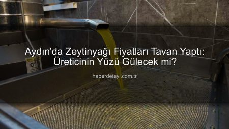 Aydın’da Zeytinyağı Fiyatları Tavan Yaptı: Üreticinin Yüzü Gülecek mi?