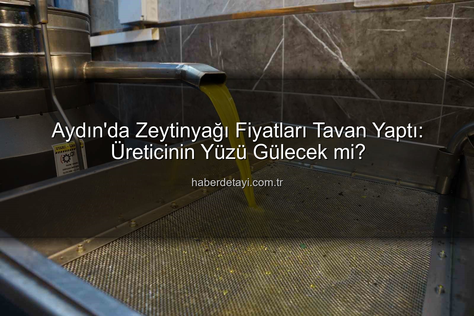 zeytinyağı fiyatları - Aydın'da Zeytinyağı Fiyatları Tavan Yaptı: Üreticinin Yüzü Gülecek mi?