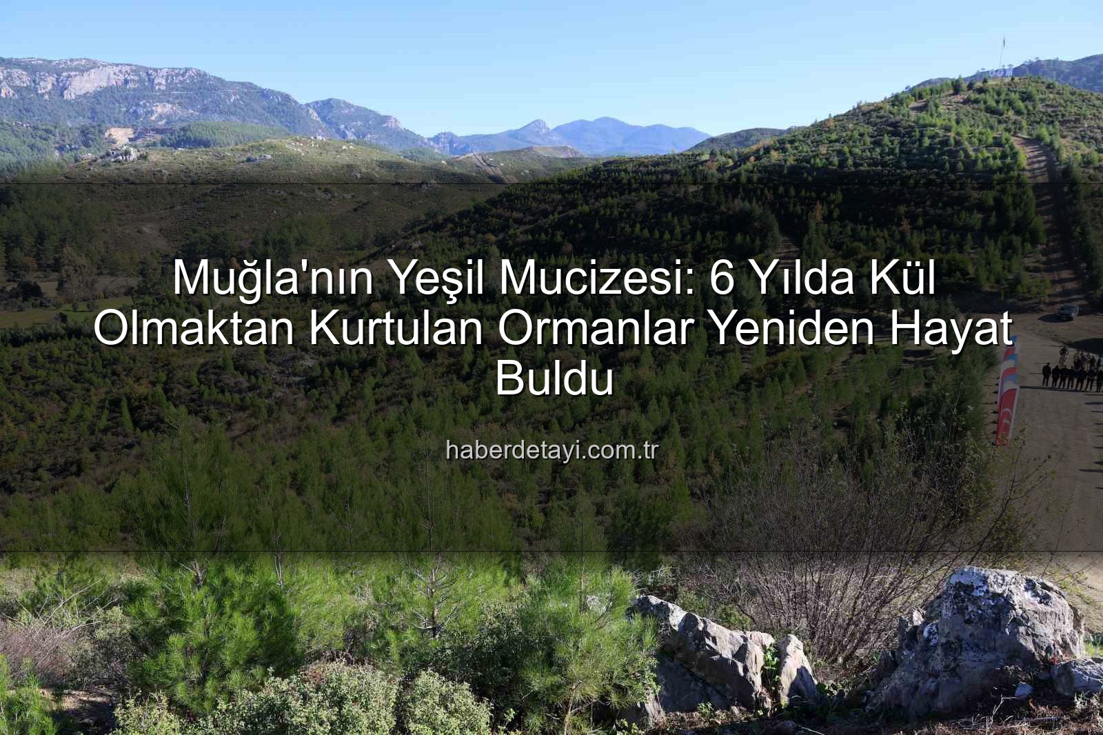 yanan ormanlar - Muğla'nın Yeşil Mucizesi: 6 Yılda Kül Olmaktan Kurtulan Ormanlar Yeniden Hayat Buldu